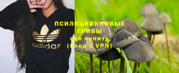 ALPHA-PVP Алексин