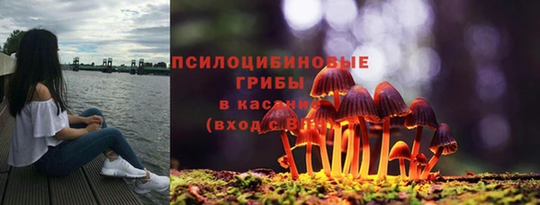 молекула духа Переславль-Залесский