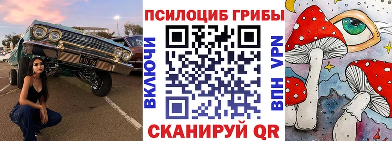 Галлюциногенные грибы Psilocybine cubensis Николаевск