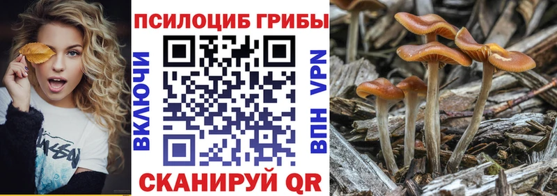 Псилоцибиновые грибы MAGIC MUSHROOMS  Николаевск 